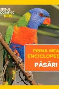 National Geographic.Prima mea enciclopedie. PASARI.