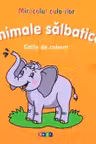 Miracolul culorilor Animale salbatice