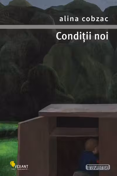Conditii noi