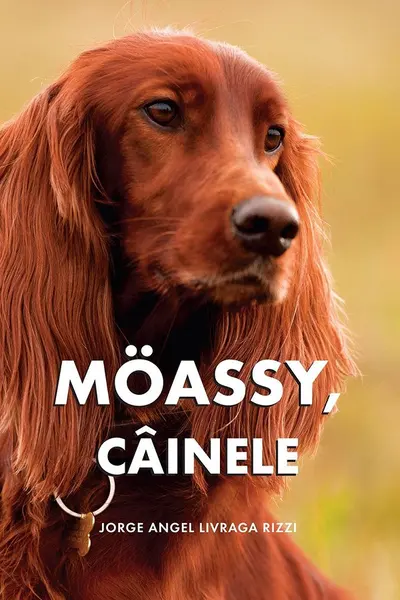 Moassy, câinele