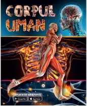 Corpul uman