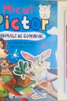 Micul pictor. Animale de companie