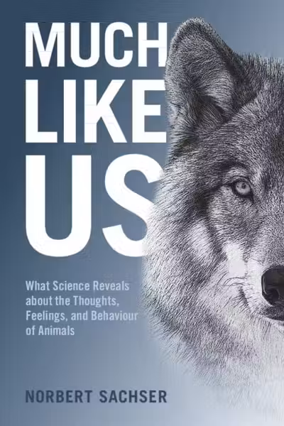 Much Like Us