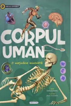 Corpul uman