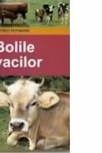 Bolile vacilor