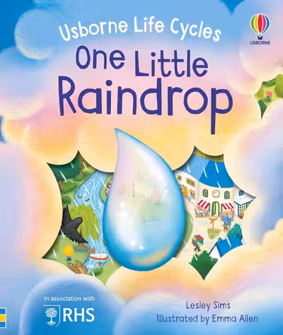 One Little Raindrop