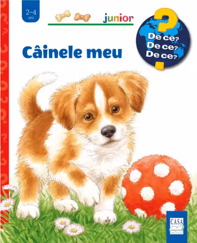 Cainele meu