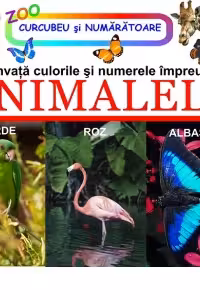 Invata culorile si numerele impreuna cu animalele