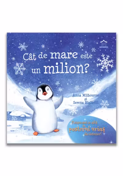 Cat de mare este un milion