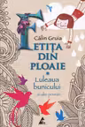 Fetita din Ploaie