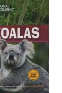 Koalas + DVD