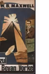 Cazul lui Bevan Yorke - Roman