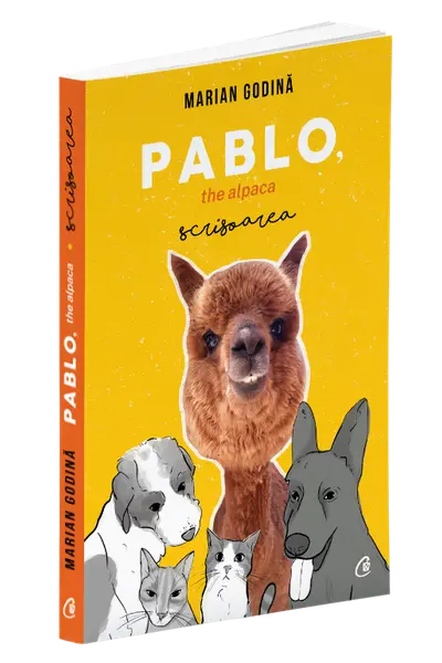 Pablo, the alpaca. Scrisoarea