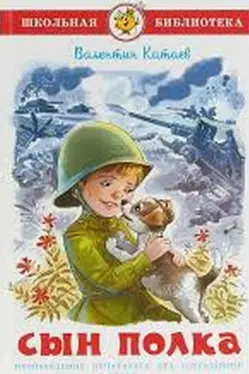 Сын полка