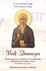 Vede Dumnezeu
