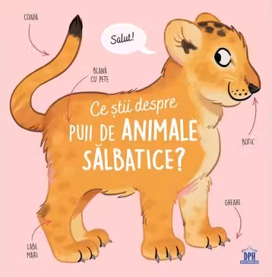 Ce stii despre puii de animale salbatice?