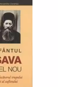 Sfantul Sava cel Nou - vindecatorul trupului si al sufletului