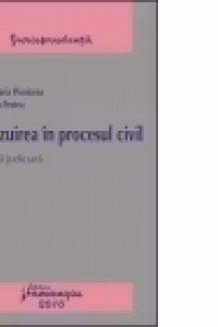 Revizuirea in procesul civil. Practica judiciara