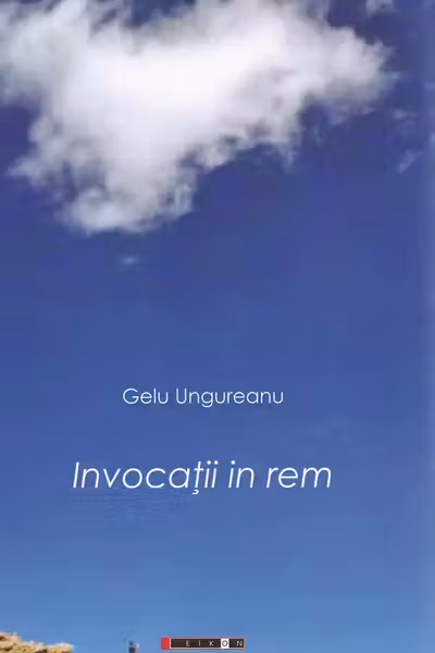 Invocatii in rem