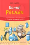 Domnul pătrat. La pas prin lumea geometriei