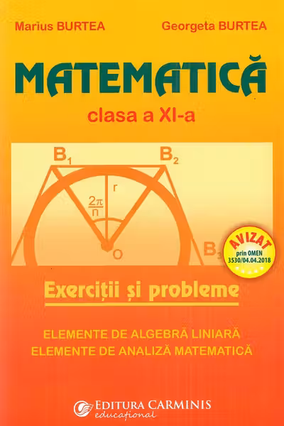 Matematica - Clasa 11 - Exercitii si probleme