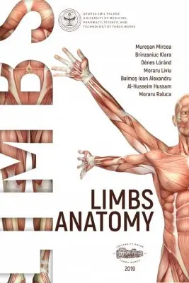 Limbs anatomy - Mircea Muresan