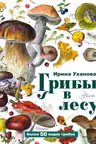 Грибы в лесу