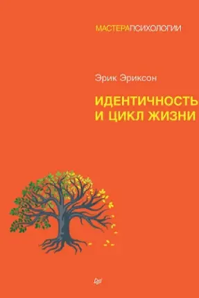 Идентичность и цикл жизни