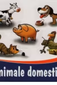 Animale domestice (pliant cartonat)