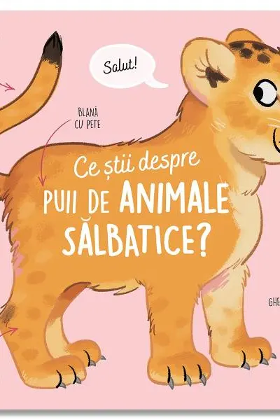 Ce stii despre puii de animale salbatice?