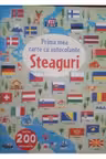 PRIMA MEA CARTE CU AUTOCOLANTE. STEAGURI
