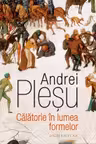 Calatorie in lumea formelor