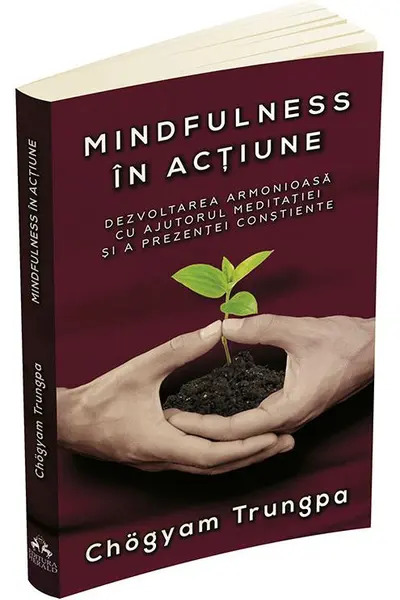 Mindfulness in actiune