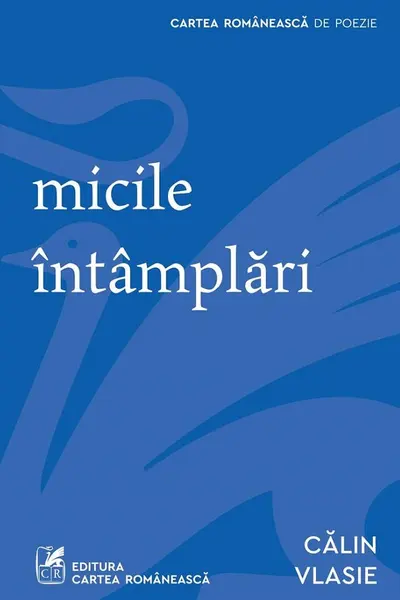 Micile intamplari