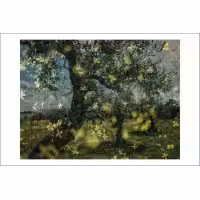Postcard Cosmin Bumbuț 12
