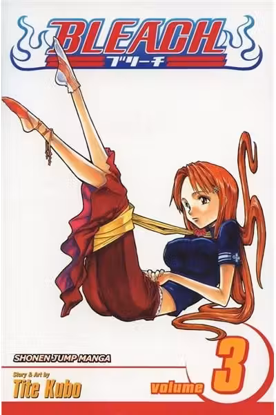 Bleach Vol. 3