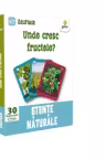 Unde cresc fructele? Stiinte naturale