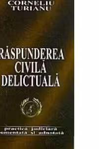 Raspunderea civila delictuala - practica judiciara comentata si adnotata