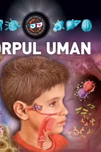 Corpul uman (ochelari 3D inclusi)