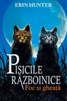 Pisicile razboinice vol.2