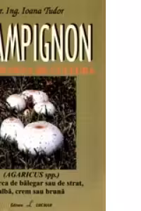 CHAMPIGNON - tehnologia de cultura