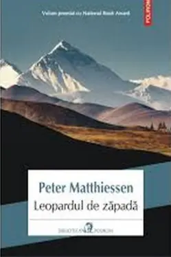 Leopardul de zapada