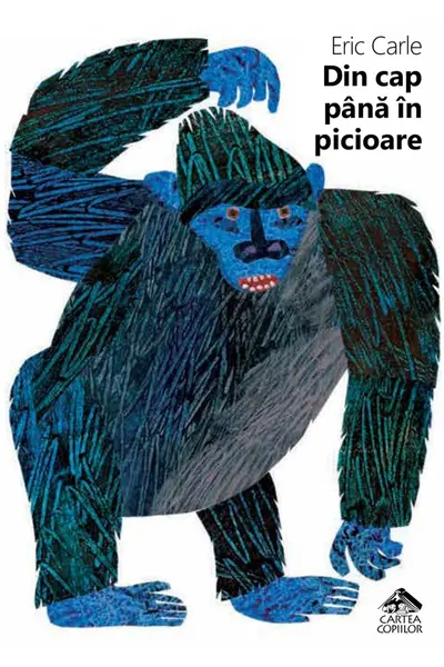Din cap pana in picioare