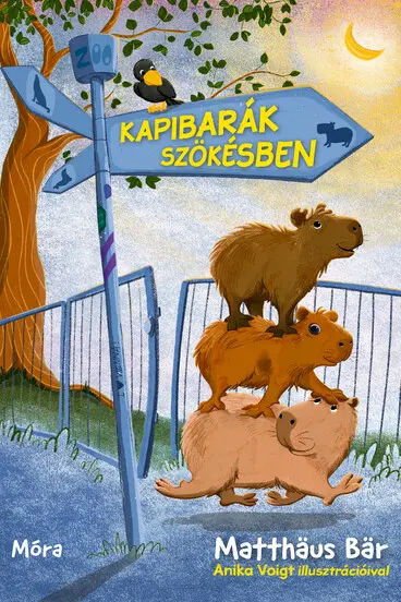 Kapibarak szokesben