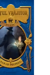 Hotul vrajitor furat