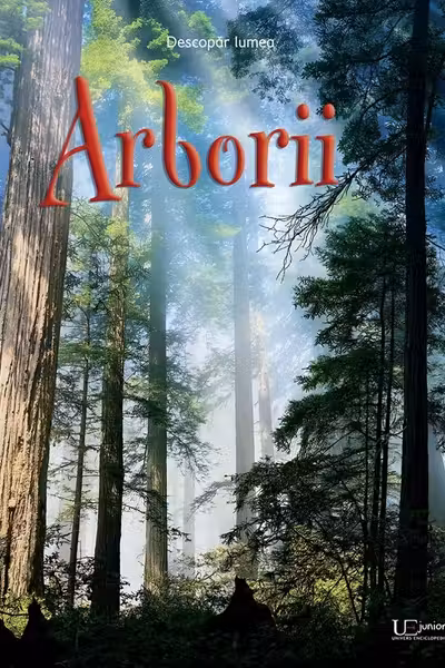 Arborii