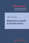 Raspunderea penala in dreptul muncii