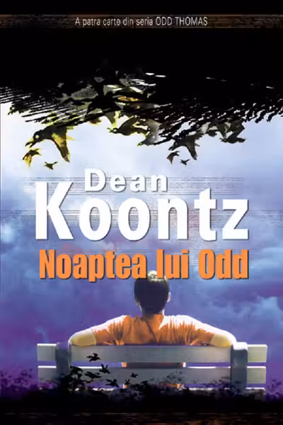 Noaptea lui Odd