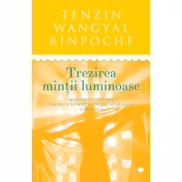 Trezirea mintii luminoase. Meditatie tibetana pentru a ajunge la pacea interioara si bucurie