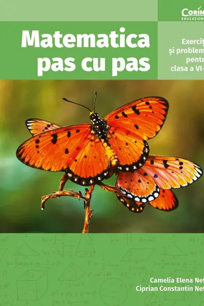 Matematica pas cu pas. Exercitii si probleme pentru clasa a 6-a